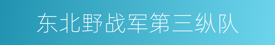 东北野战军第三纵队的同义词