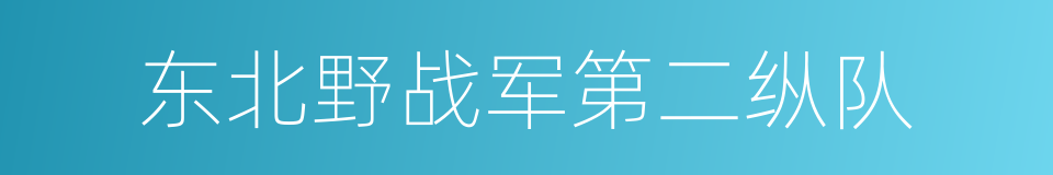 东北野战军第二纵队的同义词