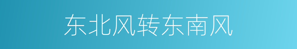 东北风转东南风的同义词