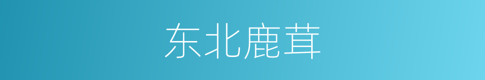 东北鹿茸的同义词