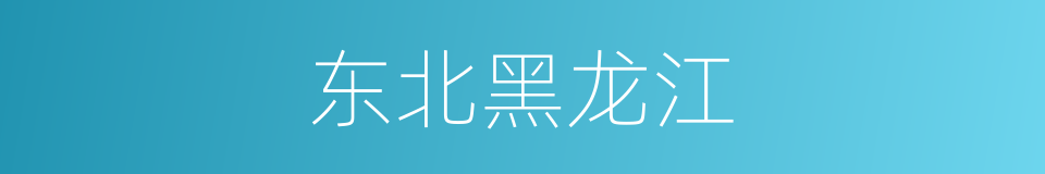 东北黑龙江的同义词