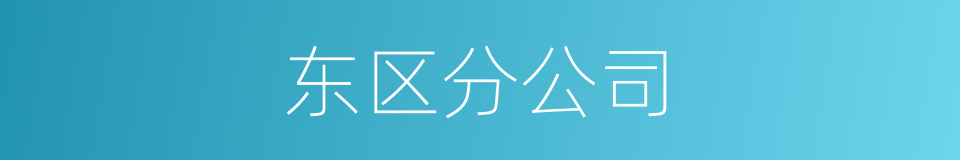 东区分公司的同义词