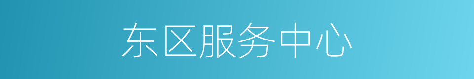 东区服务中心的同义词