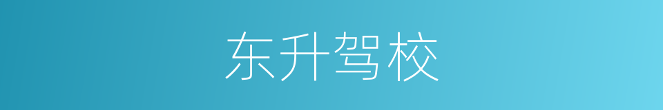 东升驾校的同义词