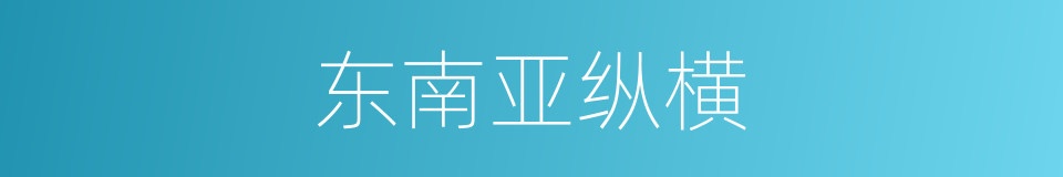 东南亚纵横的同义词