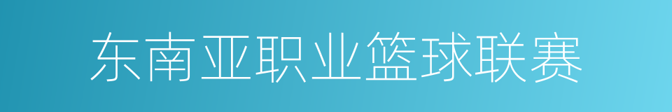 东南亚职业篮球联赛的同义词