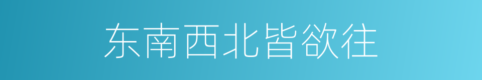 东南西北皆欲往的同义词