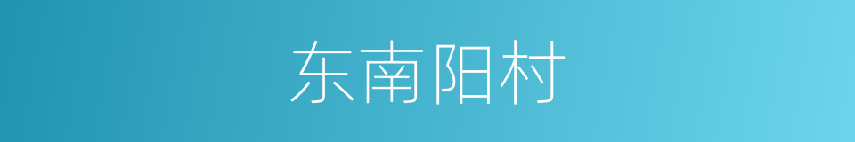 东南阳村的同义词
