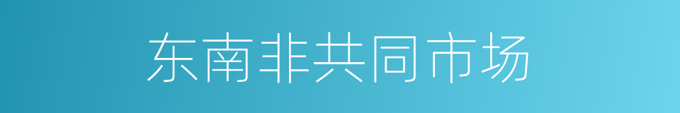 东南非共同市场的同义词
