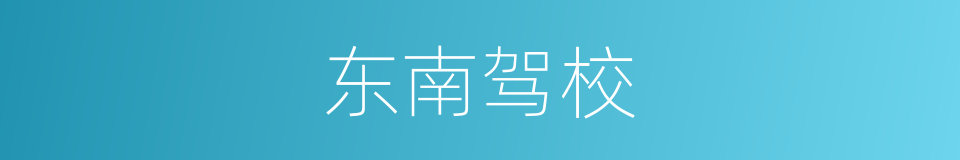东南驾校的同义词