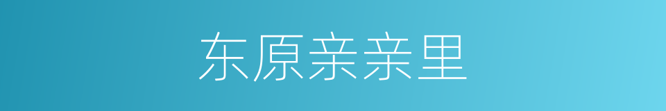 东原亲亲里的同义词