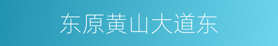 东原黄山大道东的同义词