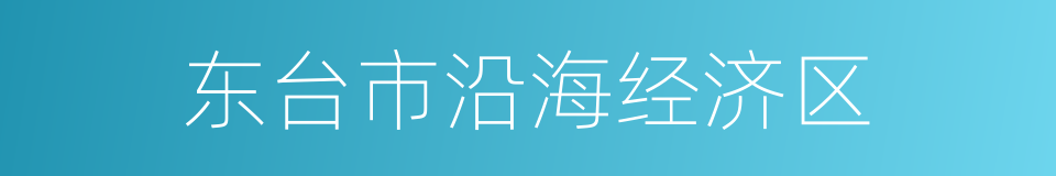东台市沿海经济区的同义词