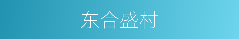 东合盛村的同义词
