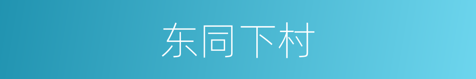 东同下村的同义词