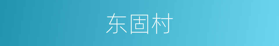 东固村的同义词