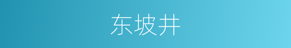 东坡井的同义词