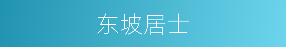 东坡居士的意思