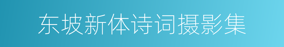 东坡新体诗词摄影集的同义词