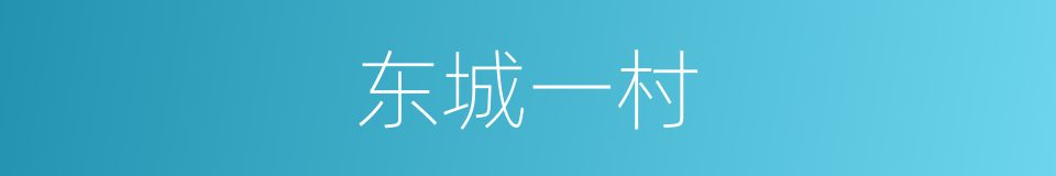 东城一村的同义词