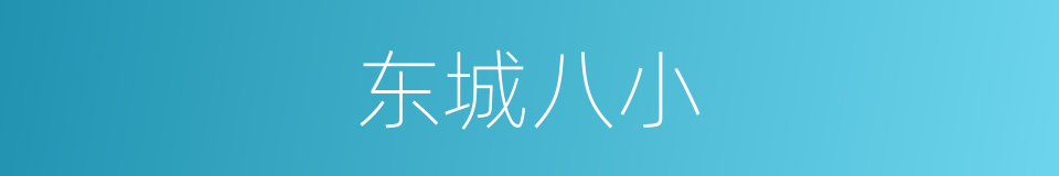 东城八小的同义词