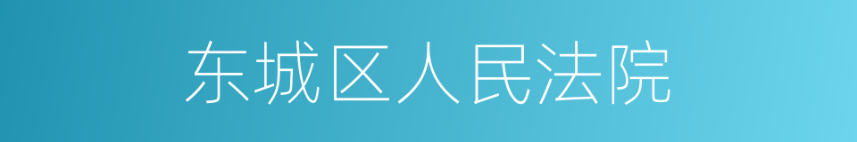 东城区人民法院的同义词