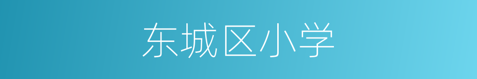 东城区小学的同义词