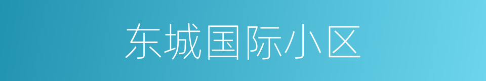 东城国际小区的同义词