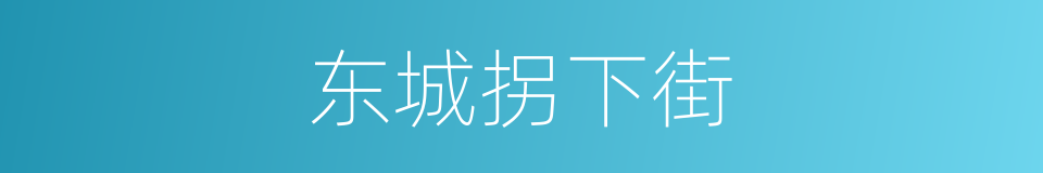 东城拐下街的同义词