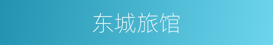 东城旅馆的同义词