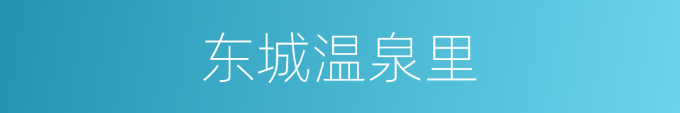 东城温泉里的同义词