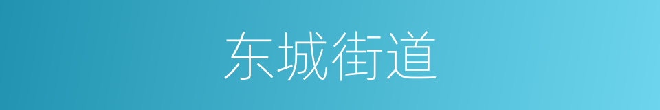 东城街道的同义词