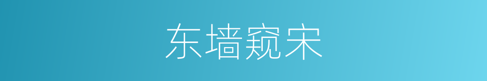 东墙窥宋的意思