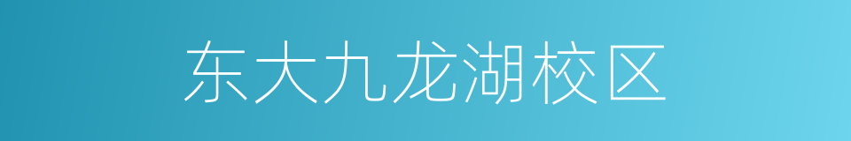 东大九龙湖校区的同义词