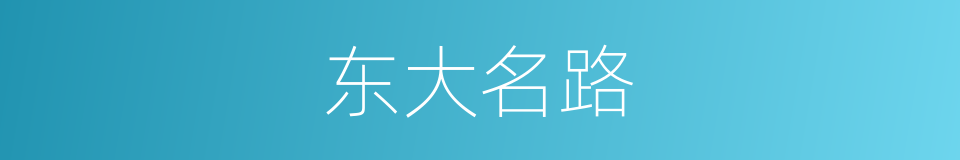 东大名路的同义词