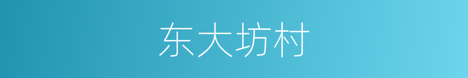 东大坊村的同义词