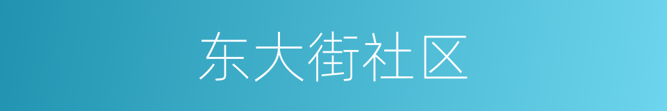 东大街社区的同义词