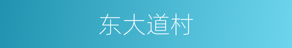 东大道村的同义词