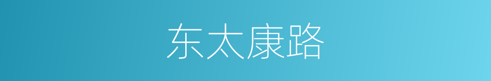 东太康路的同义词