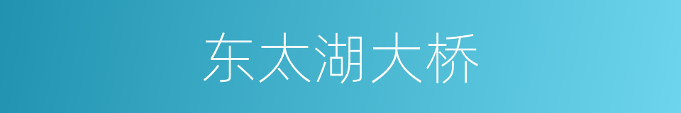 东太湖大桥的同义词