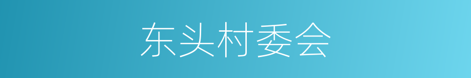 东头村委会的同义词
