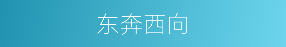 东奔西向的意思