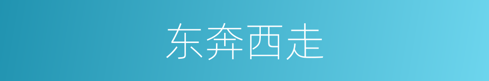 东奔西走的意思