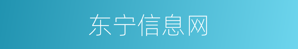 东宁信息网的同义词