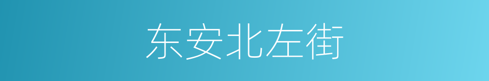 东安北左街的同义词