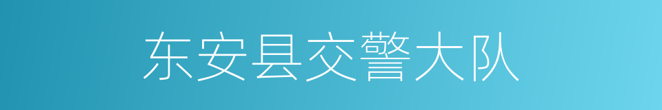 东安县交警大队的同义词