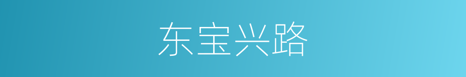 东宝兴路的同义词