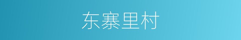东寨里村的同义词