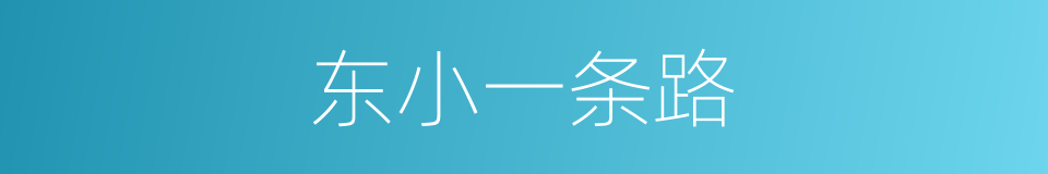 东小一条路的同义词