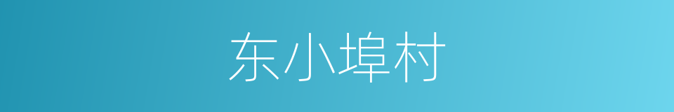 东小埠村的同义词